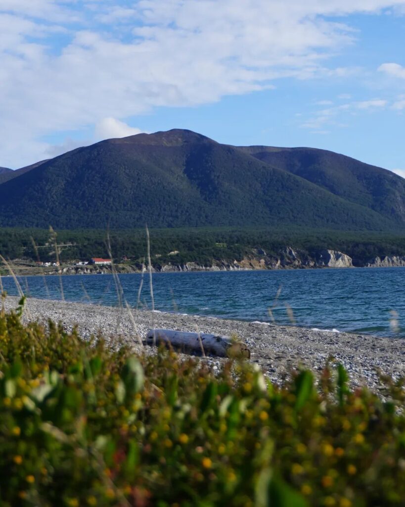 Tierra del Fuego | Bosques de lengas milenarias y estepas son el coraz&oacute;n de la Ruta del Fin del Mundo