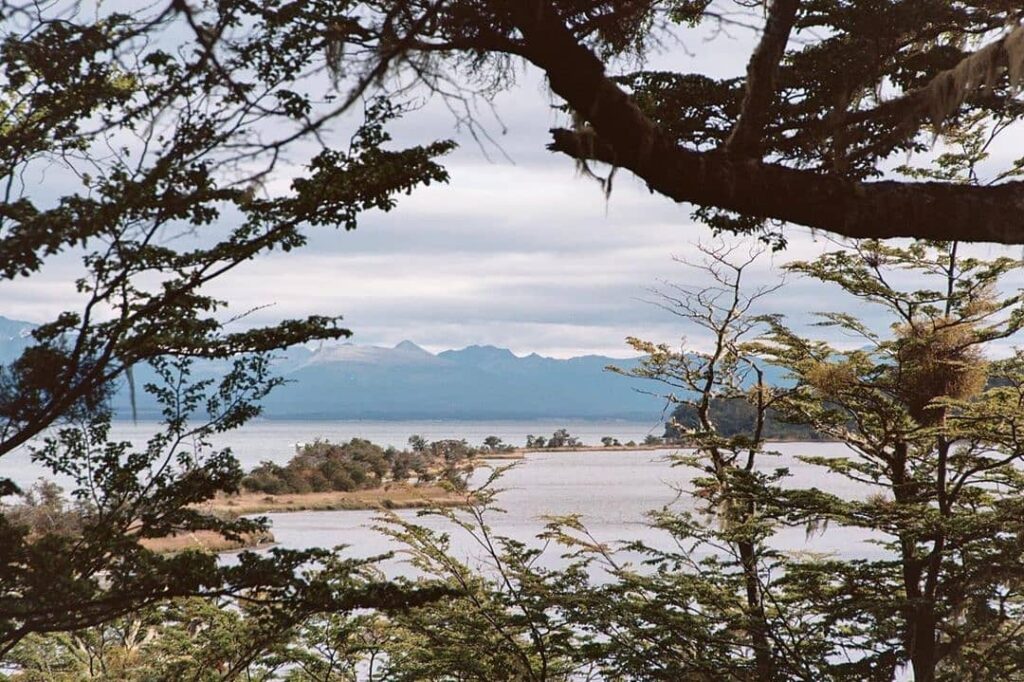 Tierra del Fuego | Bosques de lengas milenarias y estepas son el coraz&oacute;n de la Ruta del Fin del Mundo