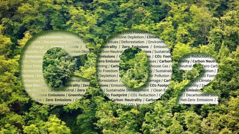Qué motiva a las empresas a medir su huella de carbono