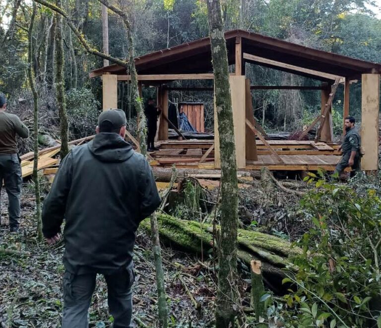 Misiones | Dos detenidos por intrusión, apeo de madera y portación ilegal de armas en una propiedad de Arauco en San Pedro