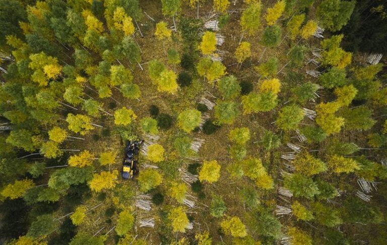 Sostenibilidad y productividad | PONSSE reduce la huella de carbono global