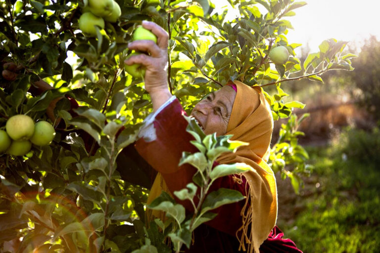 VIDEO | “Un nuevo día”, el cortometraje del FIDA que destaca la capacidad de transformación de las inversiones en los pequeños productores
