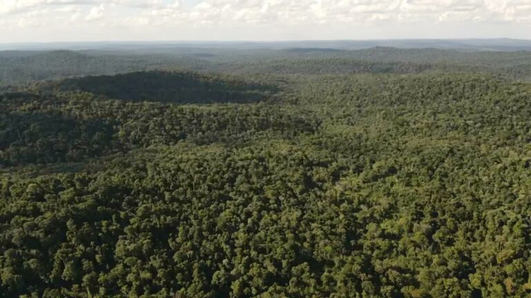Víctor Kreimer, ministro de Ecología: “El sistema de áreas naturales protegidas de Misiones es un ejemplo a nivel mundial”