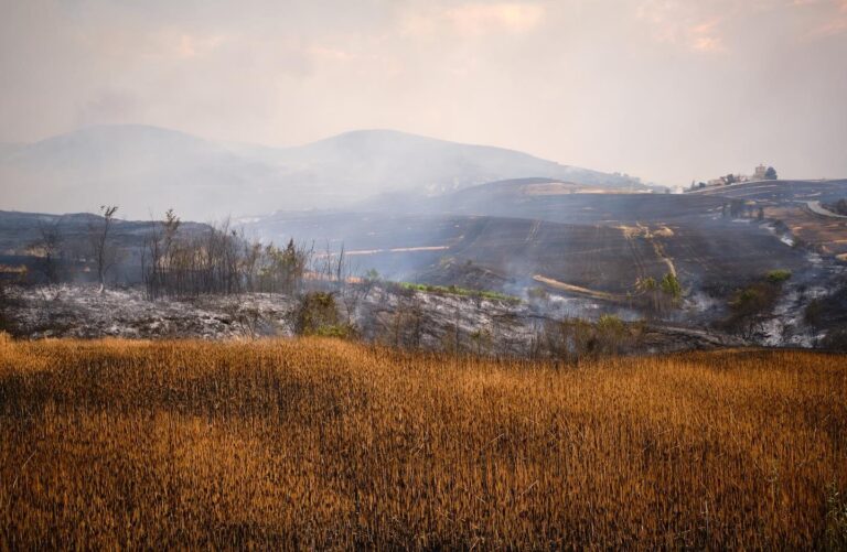 España | En Navarra se lanzó una campaña para revalorizar el trabajo de los técnicos forestales y exponer los retos ambientales frente a los incendios