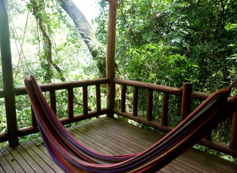 Tacuapi Lodge, un refugio de naturaleza desde el corazón de la selva misionera