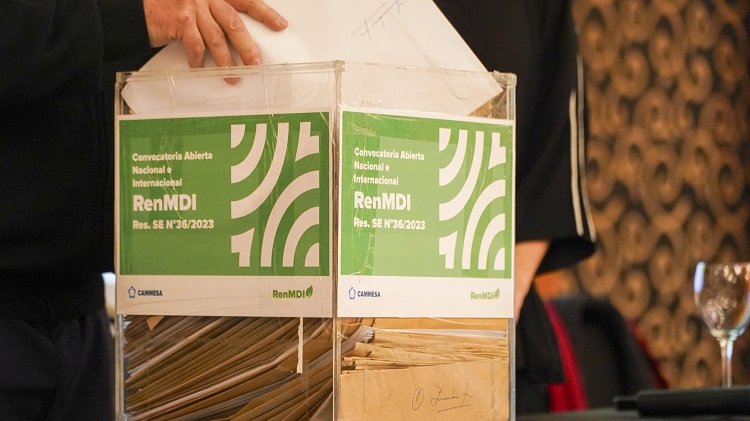 Biomasa ER RenMDI Argentina