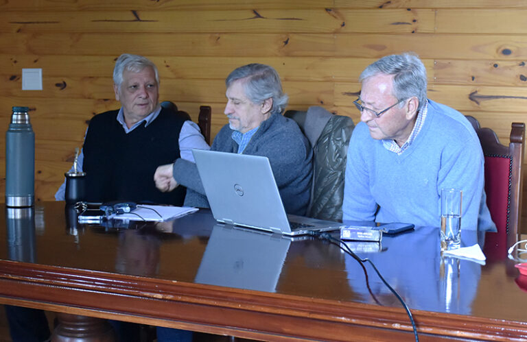 PyMEs analizan el impacto de las exportaciones de rollos de madera sin procesar y la disponibilidad real de materia prima para la próxima década