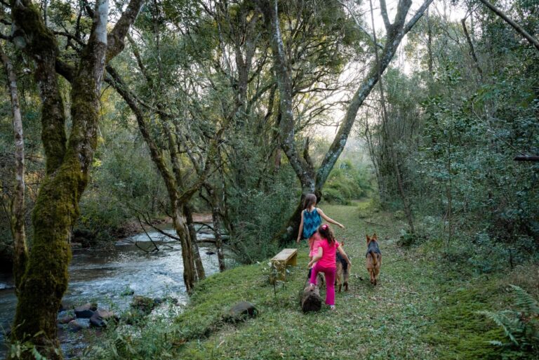 Misiones | Restauraron una chacra destruida en Alvear y la convirtieron en reserva natural integrada a una ecogranja y agroturismo