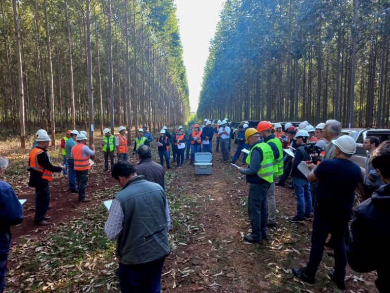 Corrientes | Productores e investigadores compartieron un proyecto en red de esquemas de manejo con clones de eucalipto