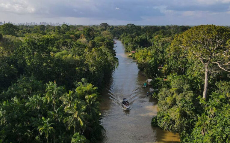 Razones para salvar la Amazonía: por qué el «corazón» de Sudamérica es clave para la supervivencia del futuro del planeta