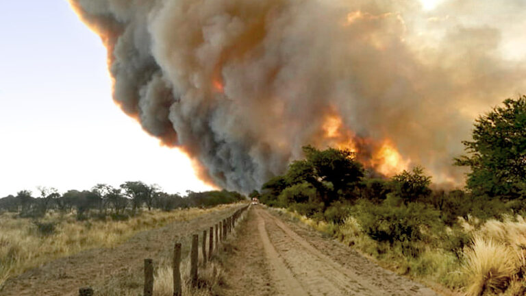 Un estudio con imágenes satelitales revela el poder destructivo de los incendios en ecosistemas de La Pampa