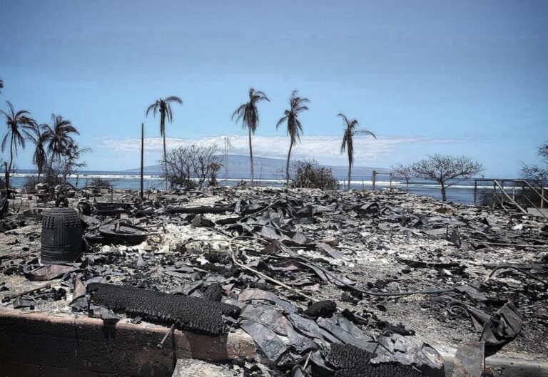Crisis climática | Tras la mayor catástrofe de su historia por un incendio forestal, declararon el estado de emergencia en Hawaii
