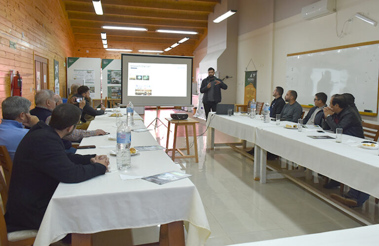 Misiones | APICOFOM proyecta construir un edificio de madera para promover los beneficios del material, su resistencia y adaptación arquitectónica