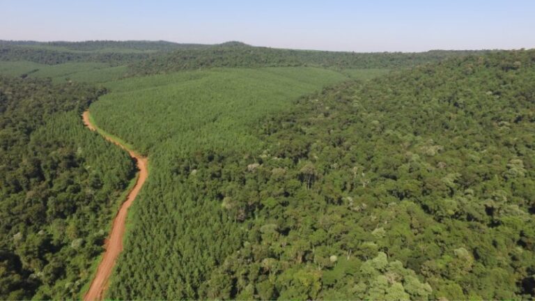 Arauco Argentina refuerza acciones socioambientales en el territorio con el Programa Paisaje Productivo Protegido