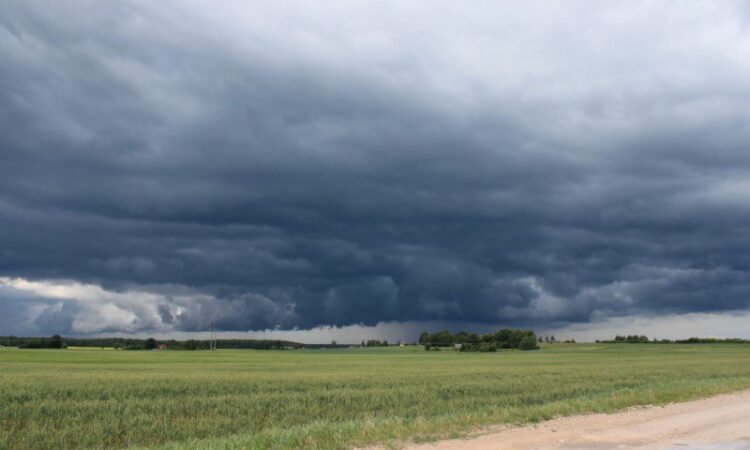 INTA | Pronostican un cambio de ciclo en el clima y se adelantarían las lluvias de primavera en la zona centro y litoral del país