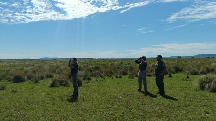 Ecologia Axis 4