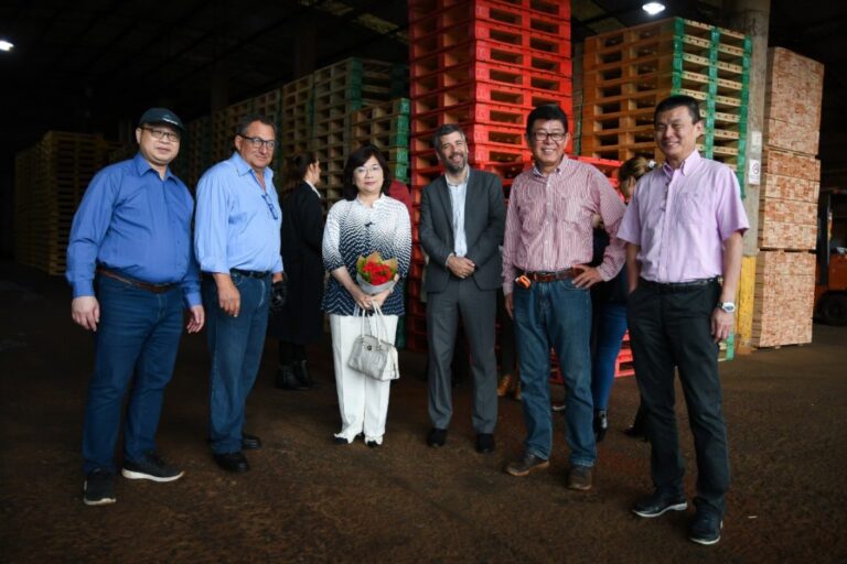 Corrientes | Inversores taiwaneses instalaron en Virasoro una nueva fábrica de pallets para exportación