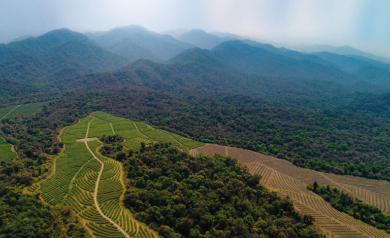 Producción para la conservación | Se realizará en Jujuy el Encuentro Anual de la Red Paisaje Productivo Protegido de la región