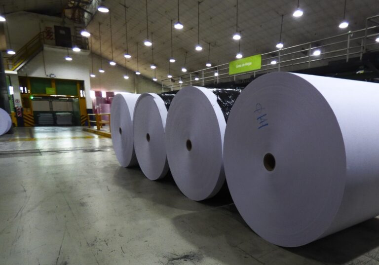 Nuevo dictado de la Diplomatura en Fabricación de Papel y Cartón de la AFCP y UNaM
