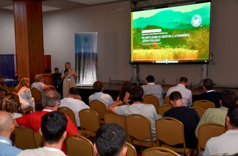 Redes Chaco lanza DINN, la convocatoria para financiar proyectos de innovación sostenibles en el Norte Grande de Argentina