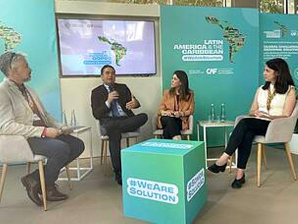 COP28 | Se requiere implementar urgentes acciones estratégicas en el Chaco y el Pantanal para evitar un mayor impacto climático, advierten desde la WWF Paraguay