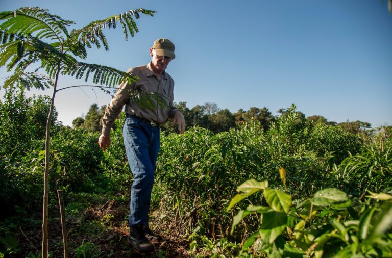 La historia del agricultor misionero Marino Jungblut recorre el mundo como ejemplo de restauración de la Selva Misionera en las chacras