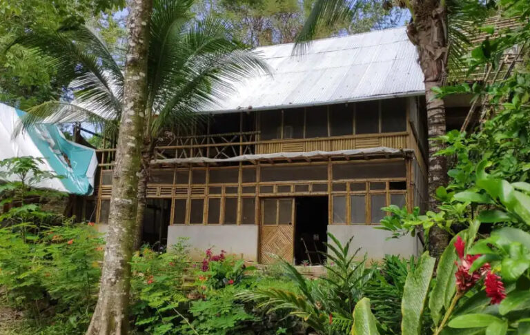 Guatemala | El Bambú es el nuevo material de construcción con el que se pueden edificar hasta casas, pergolas o galerías