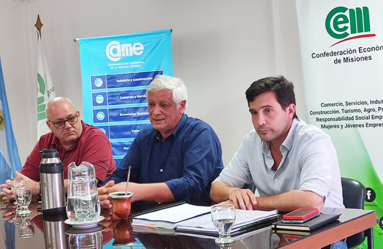 Misiones | El sector foresto-industrial reclamó construir consensos sobre las medidas que requieren modificaciones de la Ley Ómnibus