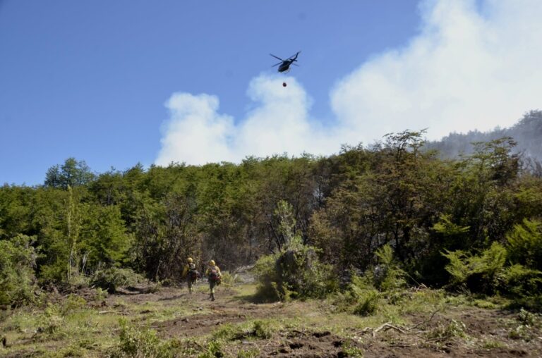 Persiste la lucha contra el fuego en Los Alerces: 2.500 hectáreas afectadas por los incendios en Chubut