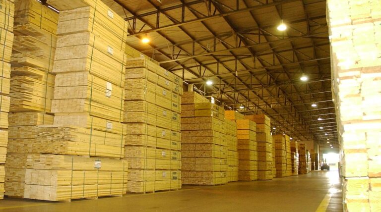 Reglamento contra la deforestación | Exigencias para productos argentinos que se exportan a la Unión Europea