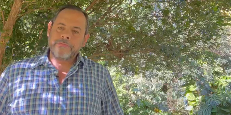 Las retenciones y su impacto en la cadena foresto-industrial | Mensaje abierto al Presidente Javier Milei