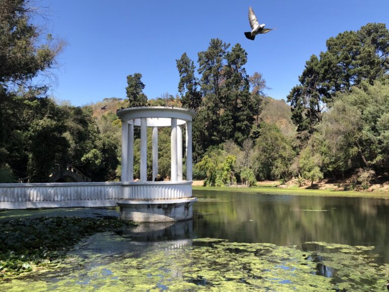 Tragedia en Chile | El fuego consumió gran parte del Jardín Botánico de Viña del Mar y con ello su biodiversidad