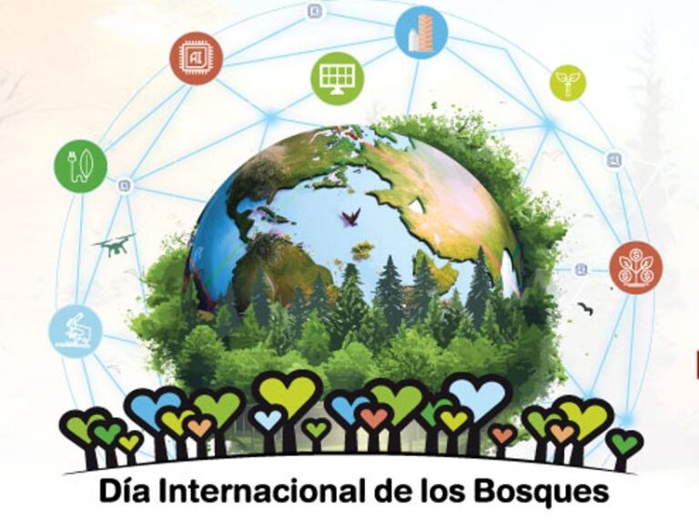 21 de Marzo, Día Forestal Mundial | Las innovaciones acercan soluciones nuevas para adaptarnos a un mundo mejor