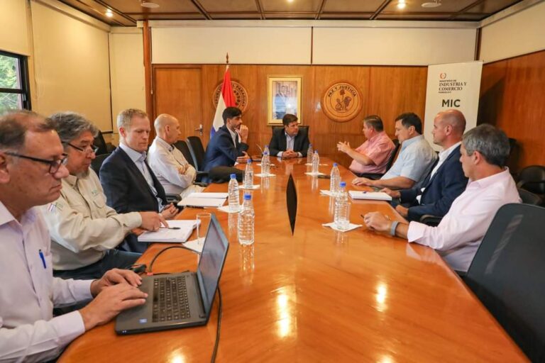 Paraguay | Impulsarán un plan estratégico para el desarrollo de la industria forestal a largo plazo