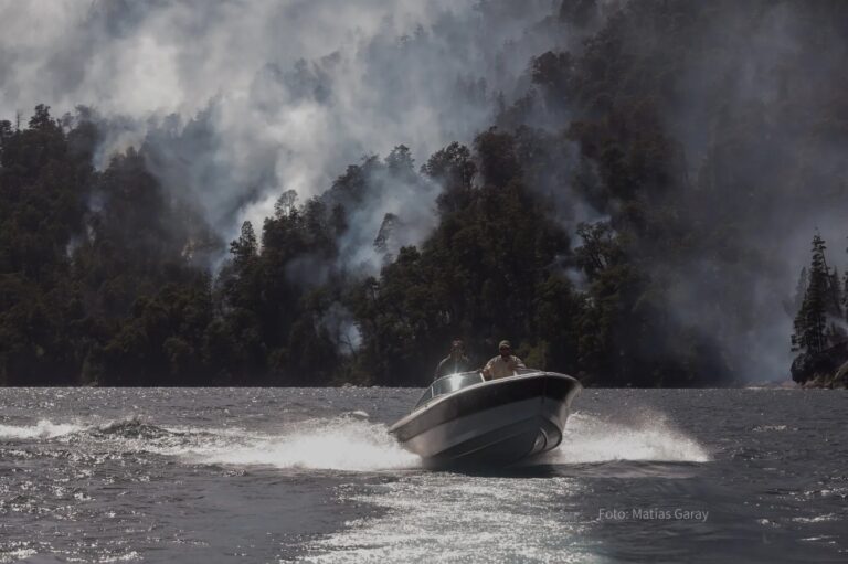 Río Negro | El fuego afectó 550 hectáreas de bosques del Parque Nacional Nahuel Huapi y refuerzan los trabajos de combate