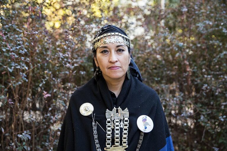 Chubut | Mapuches rechazan las acusaciones del gobernador Torres que los vinculó con los incendios intencionales en Los Alerces
