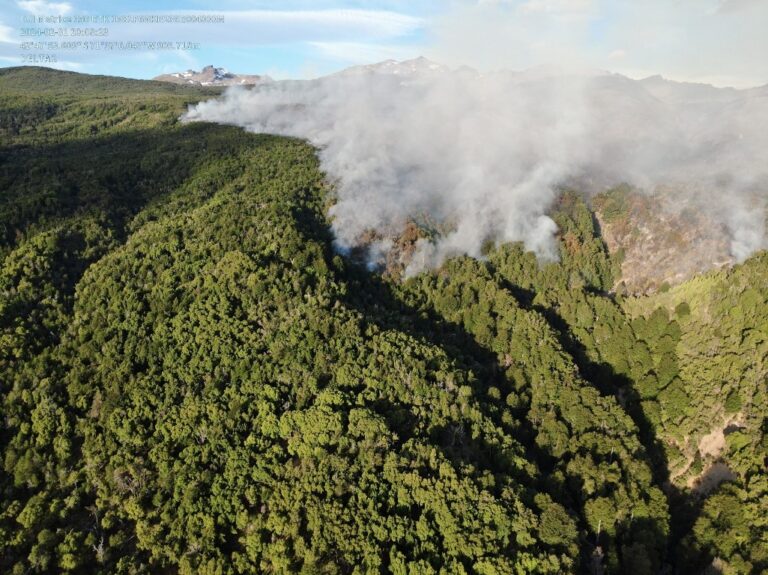 Chubut | El fuego devoró más de 3 mil hectáreas del parque nacional Los Alerces y los brigadistas ya llevan nueve días de combate