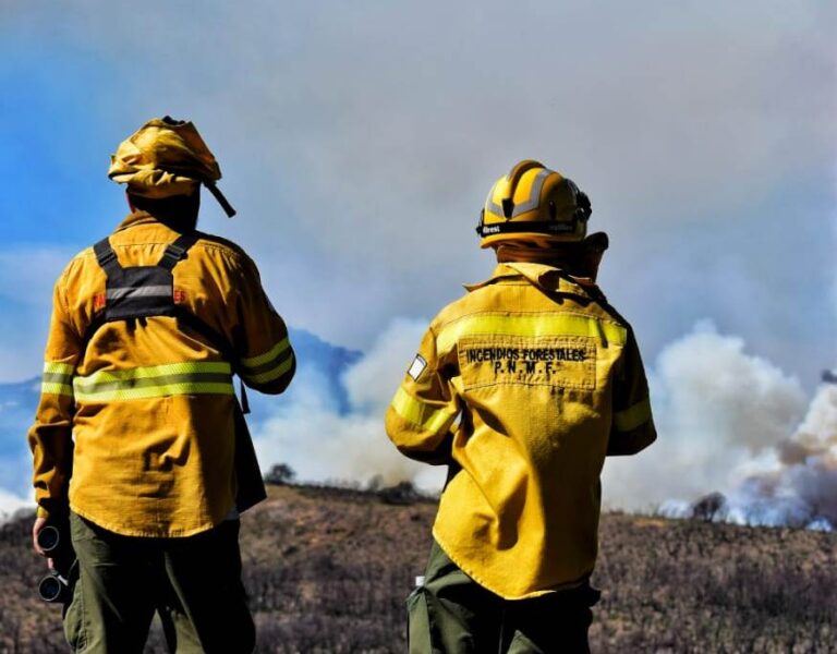 Chubut | Asciende a cerca de 6 mil hectáreas de bosques arrasados por los incendios en el Parque Nacional Los Alerces