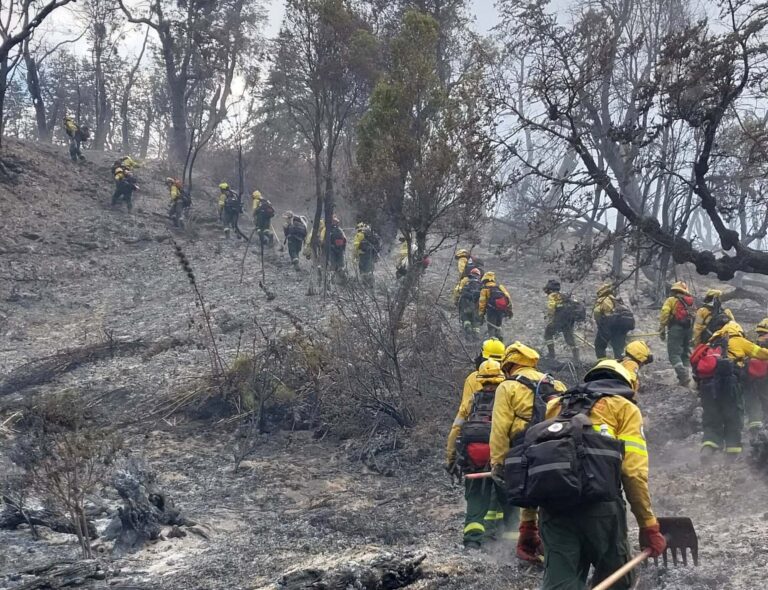 UNESCO manifestó su preocupación y solidaridad con los brigadistas que combaten el incendio del Parque Nacional Los Alerces