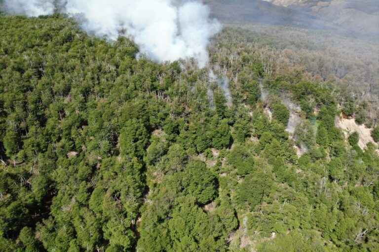 Chubut | Sigue avanzando el fuego sin control en el Parque Nacional Los Alerces afectando cerca de 3200 hectáreas de bosques patagónicos