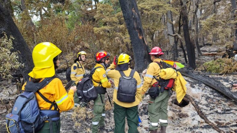 Río Negro | Con más de 600 hectáreas afectadas, continúan los trabajos para extinguir el fuego en el Parque Nacional Nahuel Huapi e inician investigación oficial para determinar las causas del incendio
