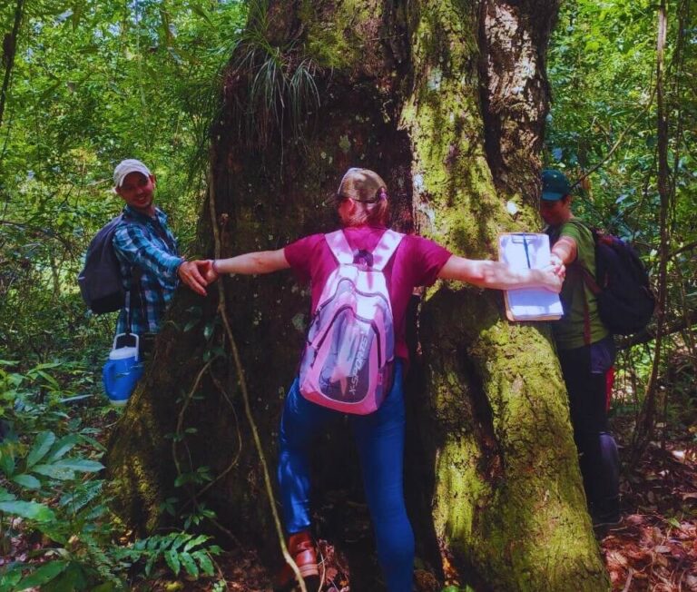 Misiones | Impulsan un proyecto de compensación para preservar árboles nativos en las chacras de agricultores familiares de la Selva Paranaense