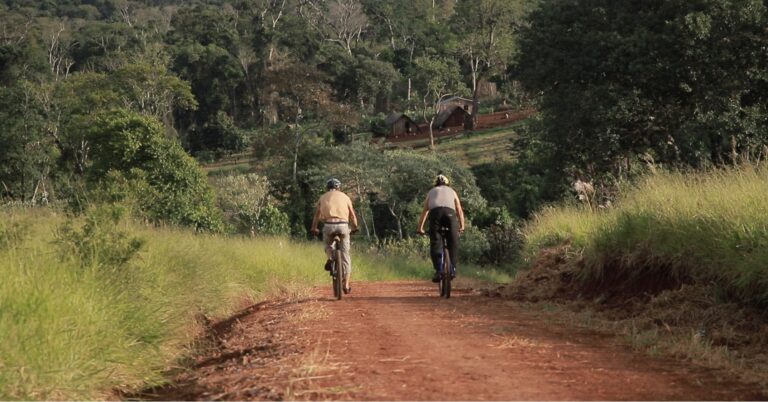 Destino naturaleza | El turismo en bicicleta, una experiencia en auge que conquista a los viajeros con tours guiados sobre ruedas