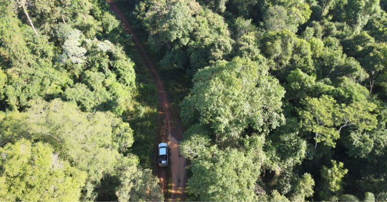 Misiones avanza en acciones hacia la gestión sostenible con la conformación del Comité de Cuenca Forestal Yabotí
