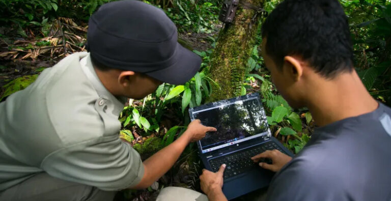 CIFOR | Cómo la IA puede apoyar a la ciencia forestal y la acción por el planeta