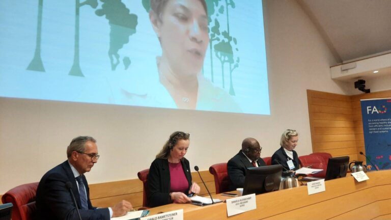 Roma fue sede del diálogo mundial sobre políticas y ciencia de la madera sostenible para lograr economías neutras en carbono