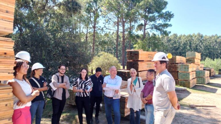 Entre Ríos | Empresas foresto-industriales de la provincia analizaron las posibilidades de fortalecer los lazos comerciales con Italia