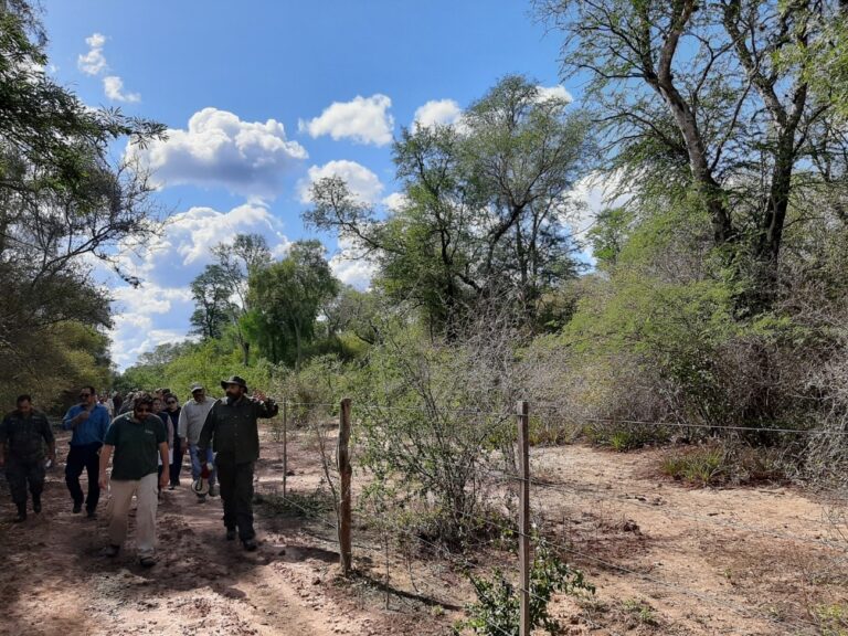 Clima y biomas forestales | Patrones globales de la composición funcional de los bosques