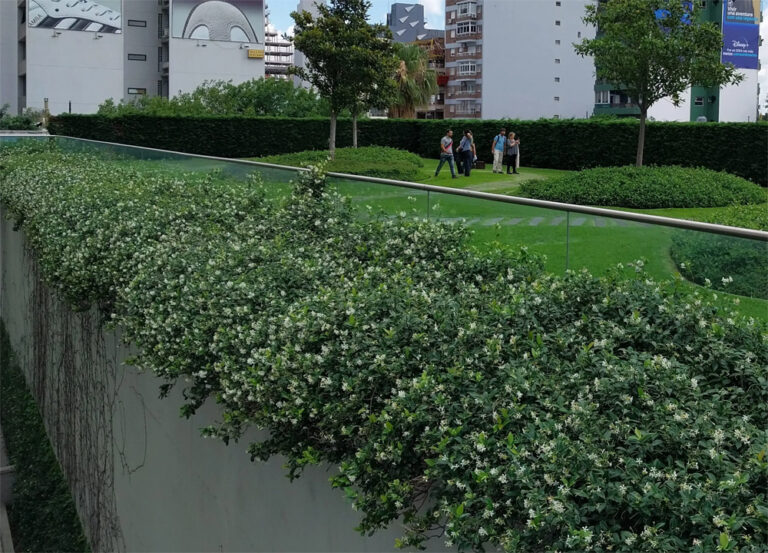 Desde INTA recomiendan la construcción de techos verdes como alternativa para regular las lluvias urbanas en exceso