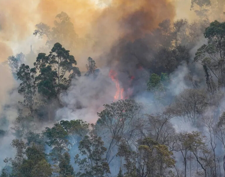 Alerta temprana | Metereólogos trabajan en mejorar la predicción de incendios forestales en Sudamérica